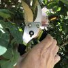 Q-yard QY-731L Traditional Bypass Pruning 8.5" Titanium Blade - Image 2