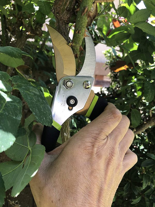 Q-yard QY-731L Traditional Bypass Pruning 8.5" Titanium Blade - Image 2
